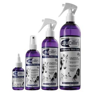 Foto van Leucillin spray 250ml via drogist