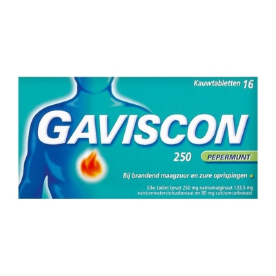 Gaviscon pepermunt 250 16tab  drogist