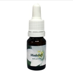 Star remedies madelief 10ml  drogist