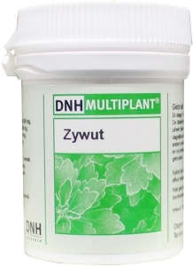 Foto van Dnh research zywut multiplant 120tab via drogist
