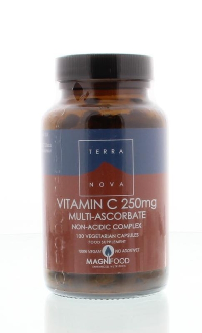 Terranova vitamine c 250 mg complex 100ca  drogist