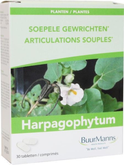Foto van Buurmanns harpagophytum 30st via drogist