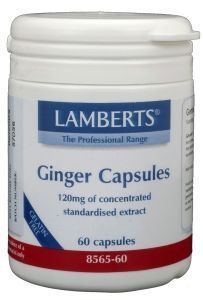 Lamberts gember (ginger) 60vcap  drogist
