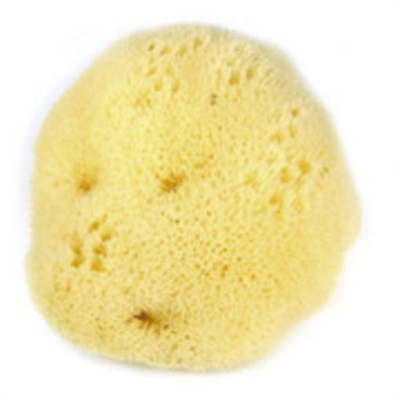 Foto van Herbapharm sea sponge silk face 6-7 cm 1st via drogist