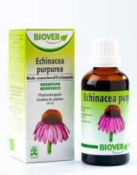 Biover echinacea purpurea 100ml  drogist